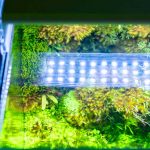 Aquarium led Light