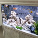 10 Gallon Fish Tanks