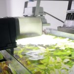 Automatic Fish Feeder